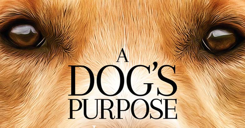 a dogs purpose controversy