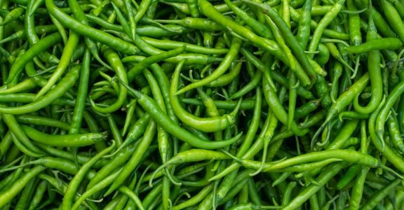 green chilli vegetable