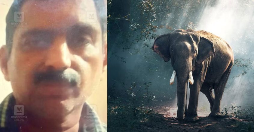 Man Attacked By Elephant Herd Dies; Hartal In Wayanad | Onmanorama