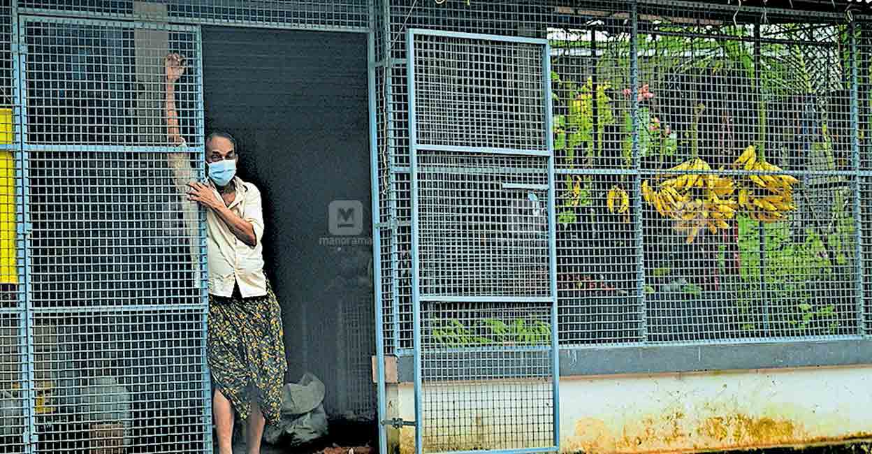 Nipah in Kozhikode: Health Dept adopts precautionary measures in north Kerala districts 