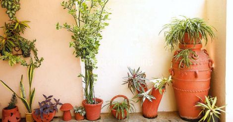 4 tips to create a garden at home