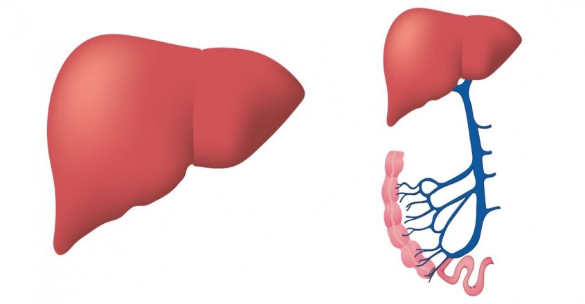 Excess sugar consumption can rise liver disease risk among children