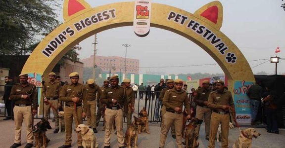 India's Biggest Pet Festival Back After 3 Years, Delhi Edition In 