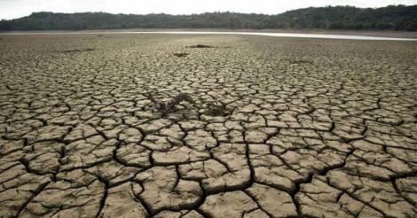 Temperature in Kerala to rise by 2-3 degree Celsius | climate change ...