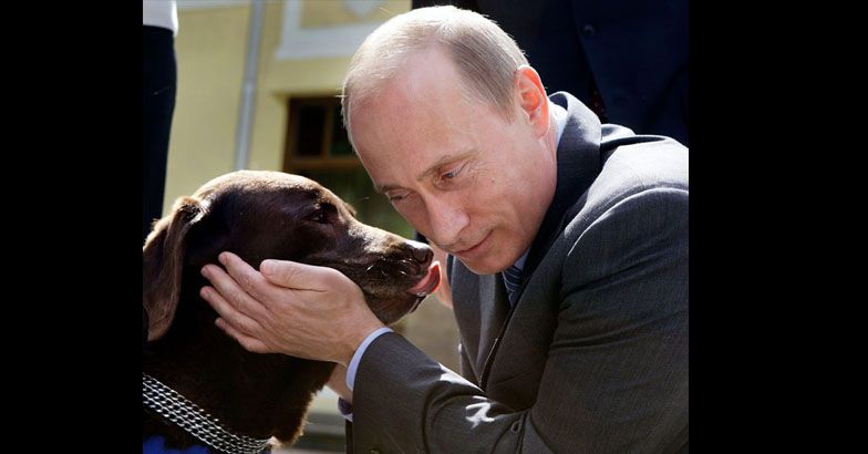 Putin's pets: a look at president's love of animals | Video, pix