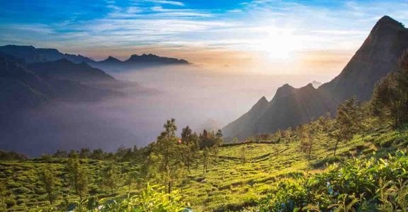 Divine sunrise, organic tea make Kolukkumalai a special winter ...