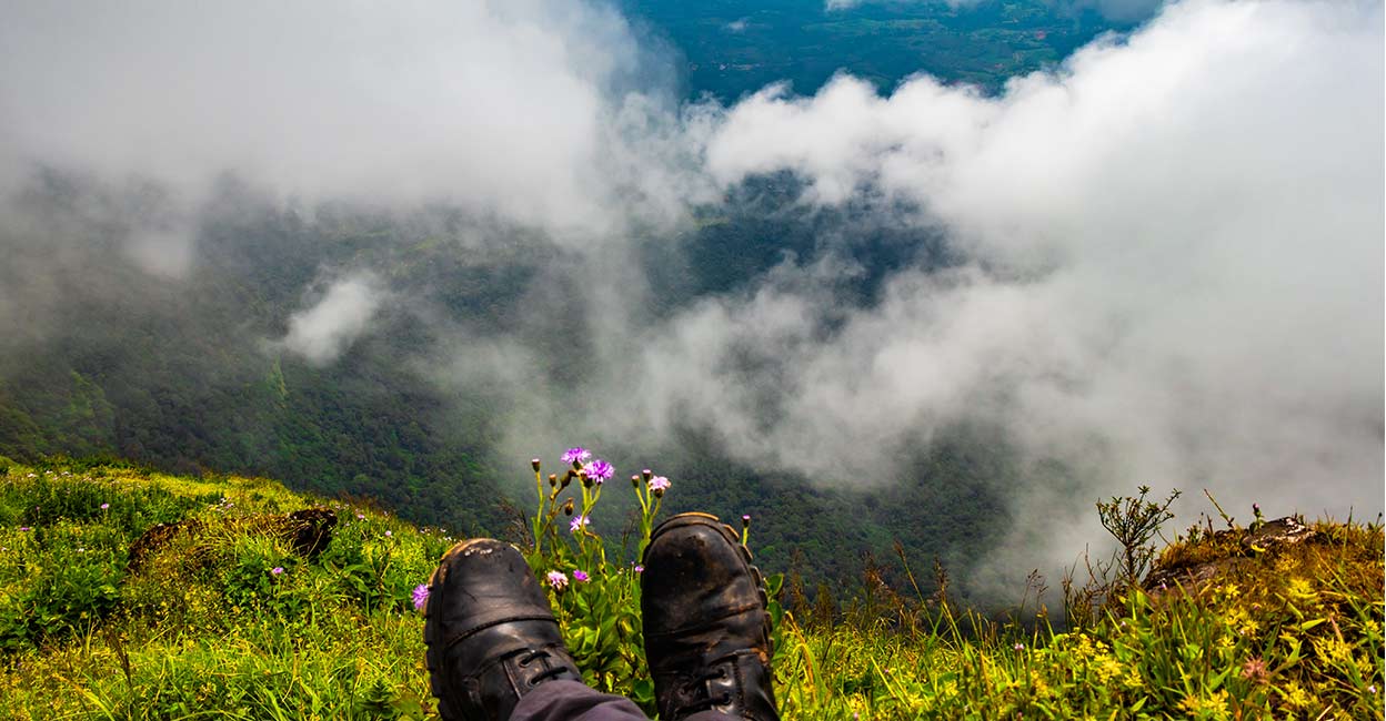 Wayanad tourism players counter govt narrative to avert 'premature death' of new lifeline