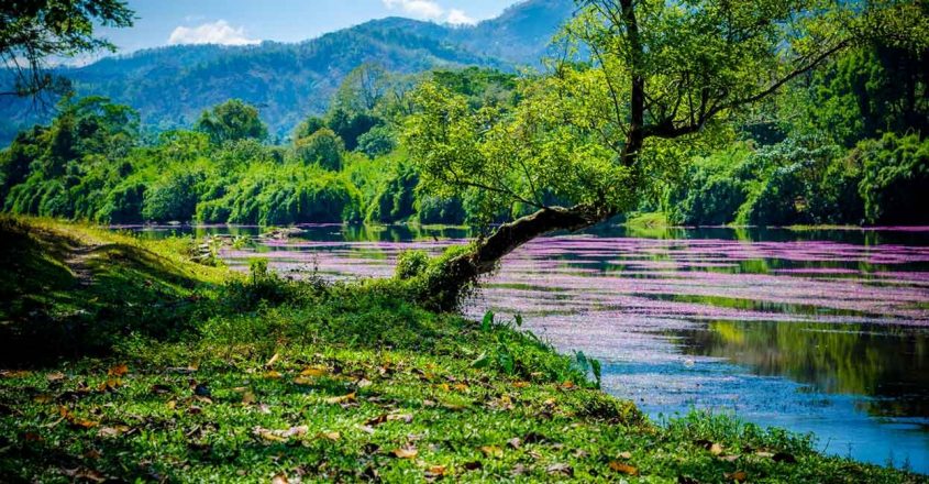 pooyamkutty tourist places