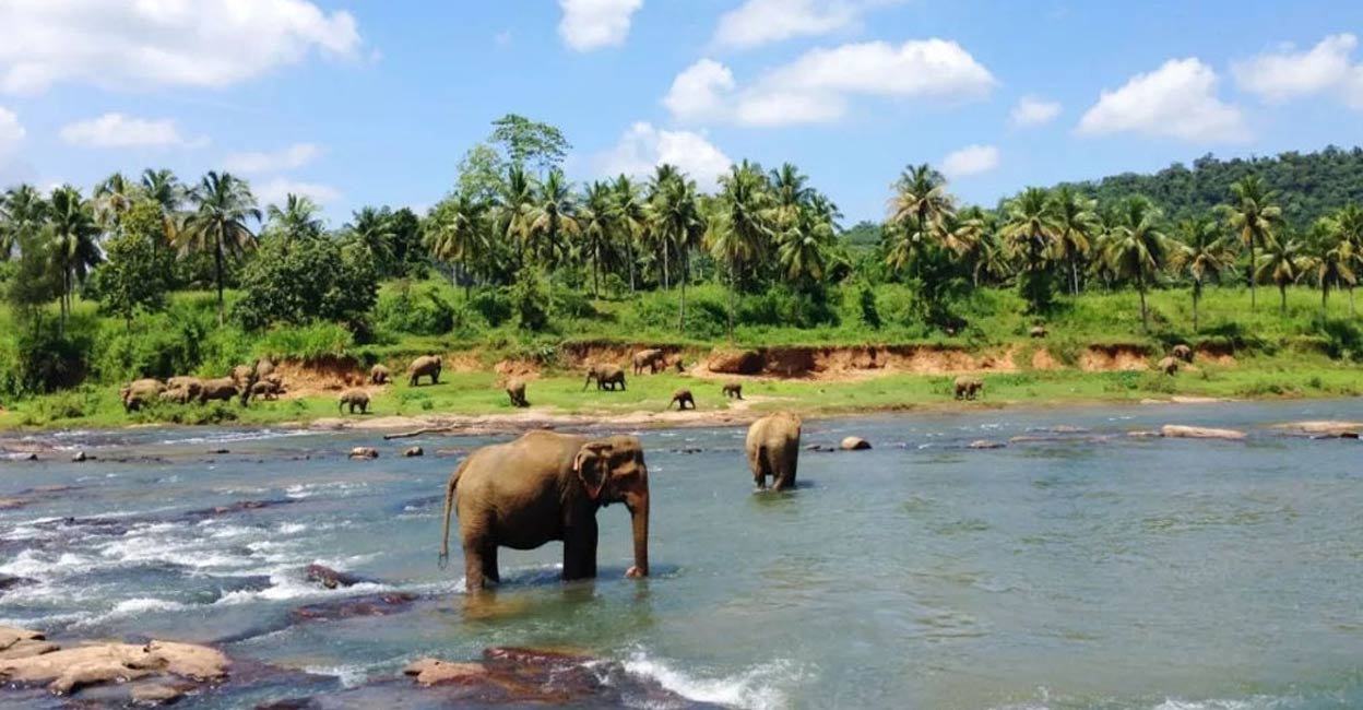 Sri Lanka launches tourism promotion initiatives with Russia, Ukraine