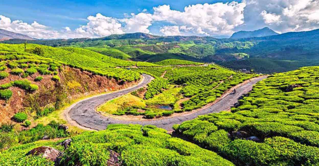 Munnar and monsoon: A great combo for nature lovers and travellers