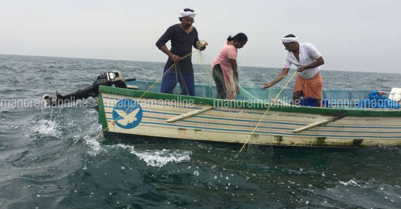 Meet the only Malayali woman who goes fishing in open sea | Rekha ...